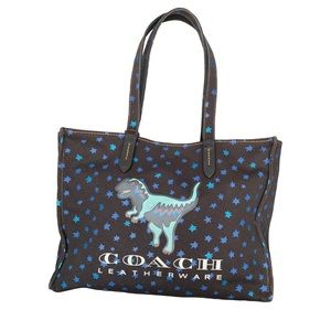 Coach Dinosaur Graphic Canvas Tote